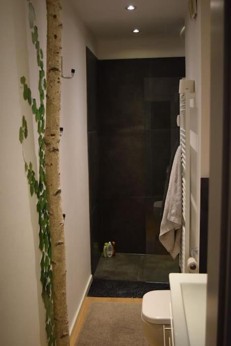 Appartement Hochwertige 4-zimmer-wohnung In Koln-sulz